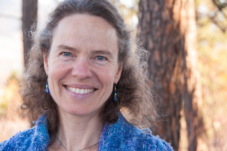 UBC associate professor of math, Rebecca Tyson used computer modelling to determine pheromone baiting isn’t the best solution to control the mountain pine beetle.